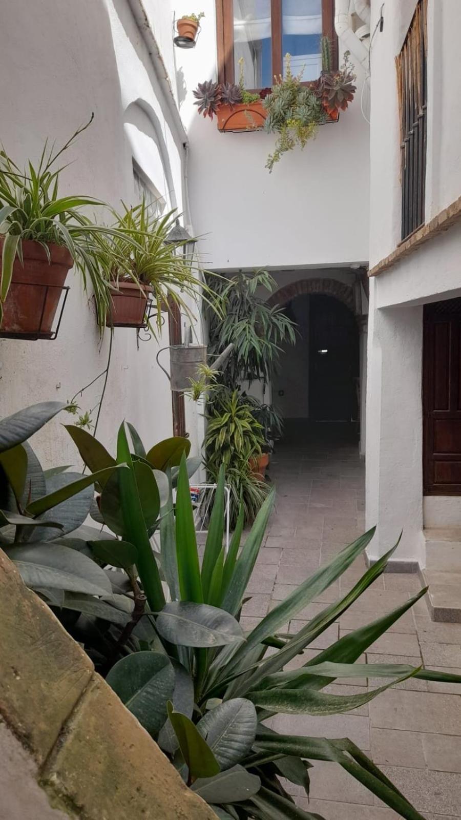 Apartamento En El Casco Historico Tarifa Exterior photo